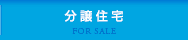 分譲住宅